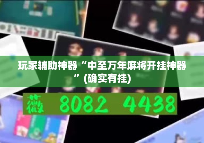 玩家辅助神器“中至万年麻将开挂神器”(确实有挂)
