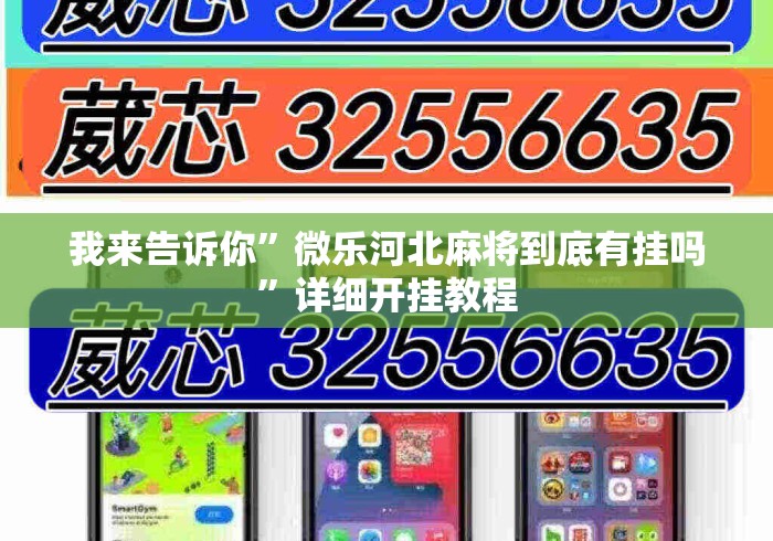 我来告诉你”微乐河北麻将到底有挂吗”详细开挂教程