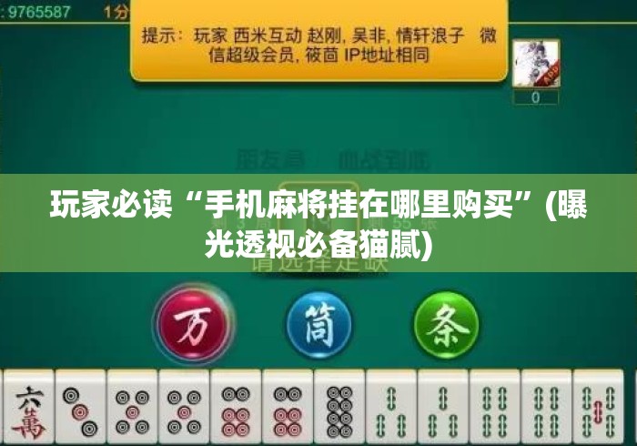 玩家必读“手机麻将挂在哪里购买”(曝光透视必备猫腻)