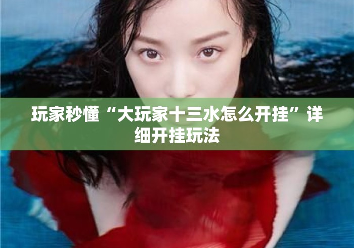 玩家秒懂“大玩家十三水怎么开挂”详细开挂玩法