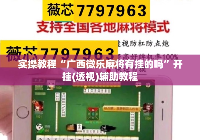 实操教程“广西微乐麻将有挂的吗”开挂(透视)辅助教程