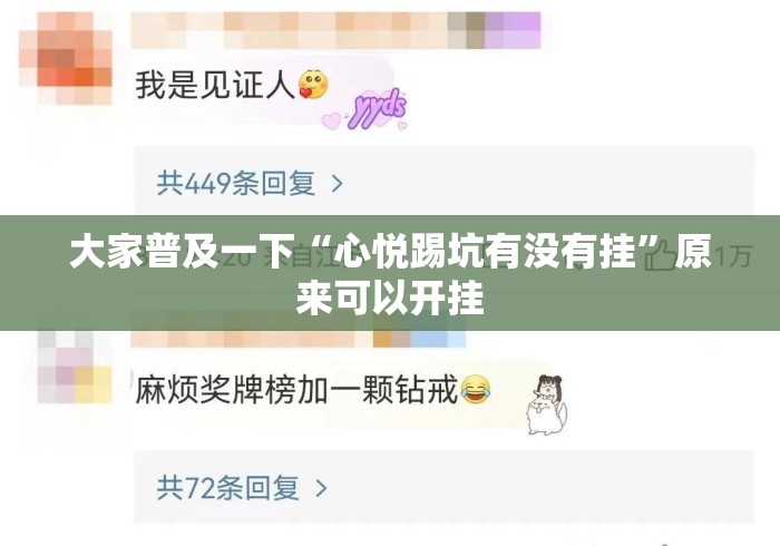 大家普及一下“心悦踢坑有没有挂”原来可以开挂
