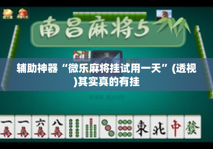 辅助神器“微乐麻将挂试用一天”(透视)其实真的有挂