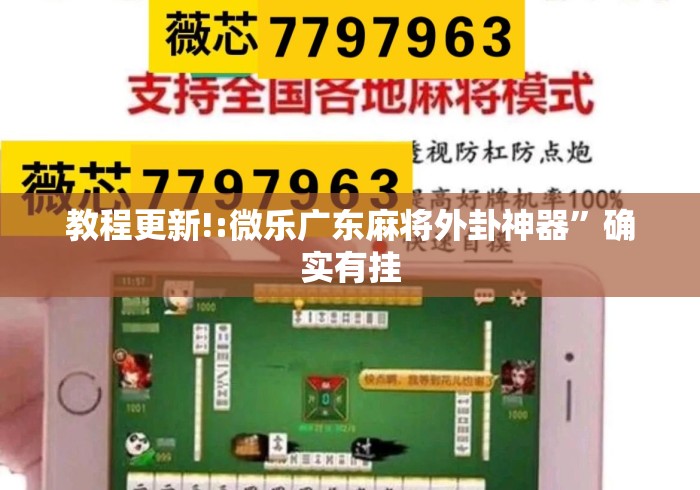 教程更新!:微乐广东麻将外卦神器”确实有挂