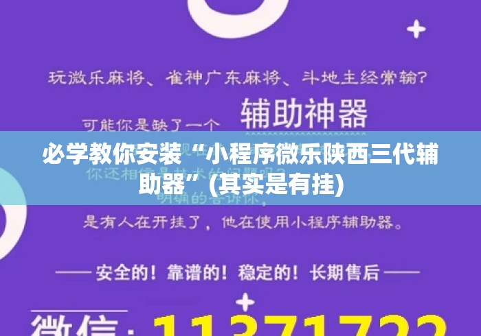 必学教你安装“小程序微乐陕西三代辅助器”(其实是有挂)