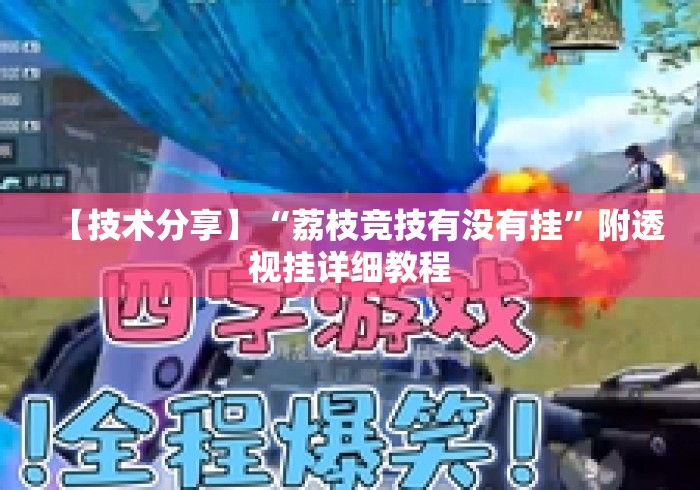 【技术分享】“荔枝竞技有没有挂”附透视挂详细教程
