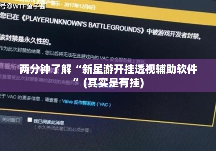 两分钟了解“新星游开挂透视辅助软件”(其实是有挂)
