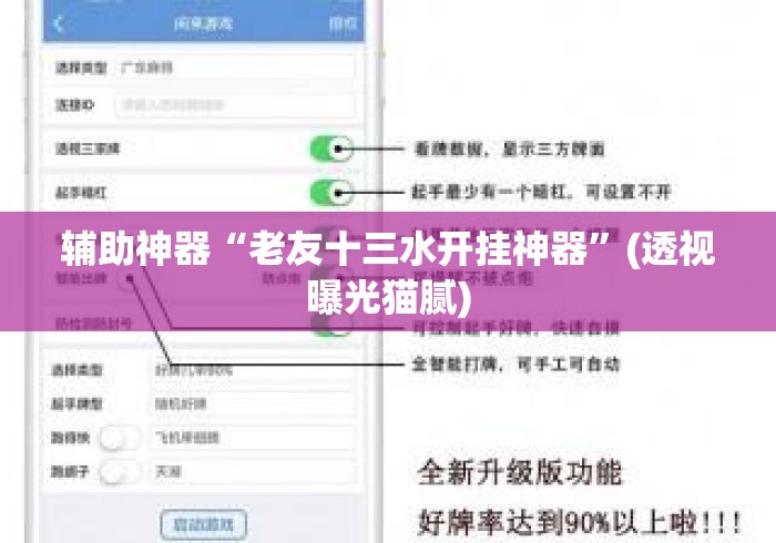 辅助神器“老友十三水开挂神器”(透视曝光猫腻)