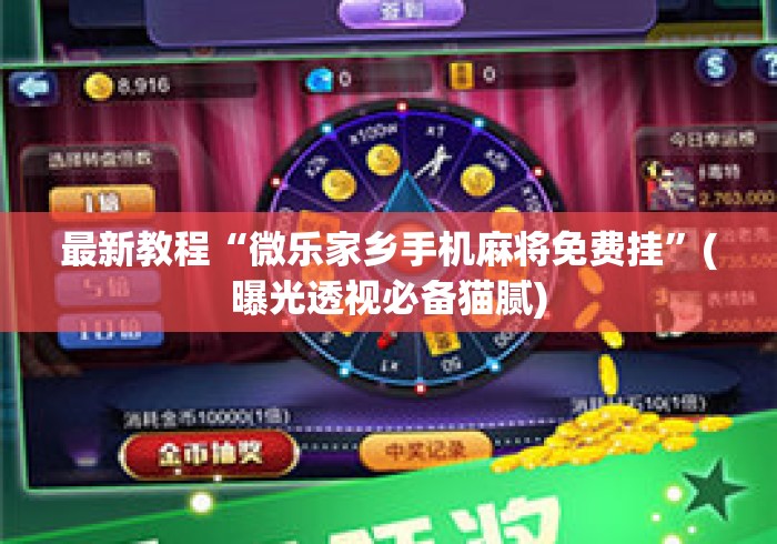 最新教程“微乐家乡手机麻将免费挂”(曝光透视必备猫腻)