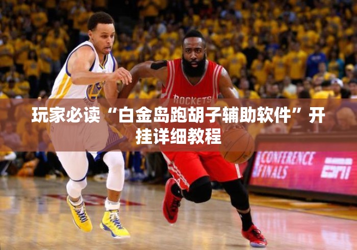 玩家必读“白金岛跑胡子辅助软件”开挂详细教程