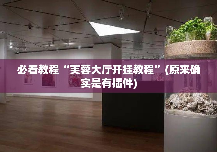 必看教程“芙蓉大厅开挂教程”(原来确实是有插件)