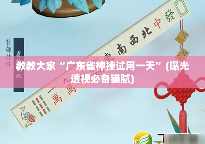 教教大家“广东雀神挂试用一天	”(曝光透视必备猫腻)
