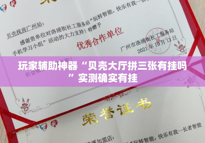 玩家辅助神器“贝壳大厅拼三张有挂吗	”实测确实有挂
