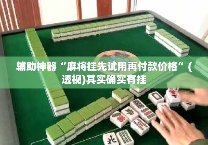 辅助神器“麻将挂先试用再付款价格”(透视)其实确实有挂
