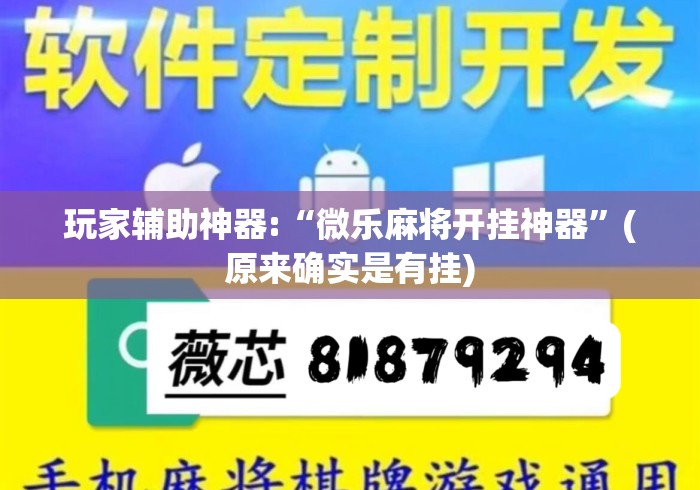 玩家辅助神器:“微乐麻将开挂神器”(原来确实是有挂)