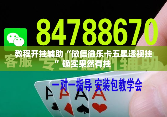 教程开挂辅助“微信微乐卡五星透视挂”确实果然有挂 