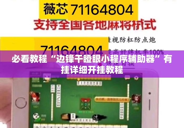 必看教程“边锋干瞪眼小程序辅助器”有挂详细开挂教程