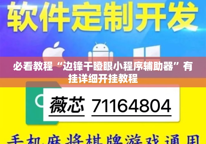 必看教程“边锋干瞪眼小程序辅助器”有挂详细开挂教程