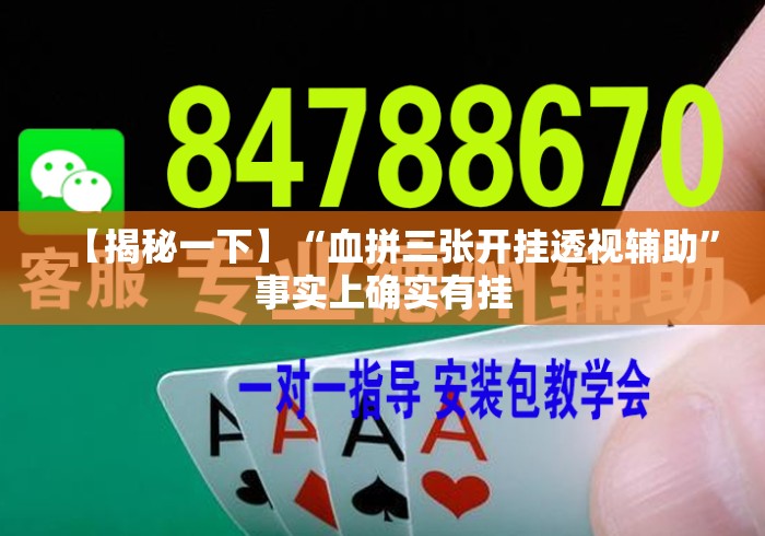 【揭秘一下】“血拼三张开挂透视辅助”事实上确实有挂