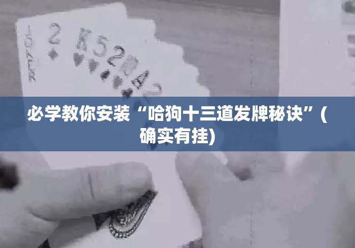 必学教你安装“哈狗十三道发牌秘诀	”(确实有挂)