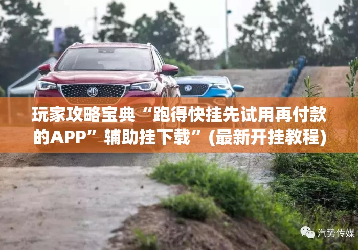 玩家攻略宝典“跑得快挂先试用再付款的APP”辅助挂下载”(最新开挂教程)