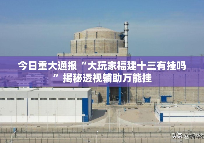 今日重大通报“大玩家福建十三有挂吗”揭秘透视辅助万能挂