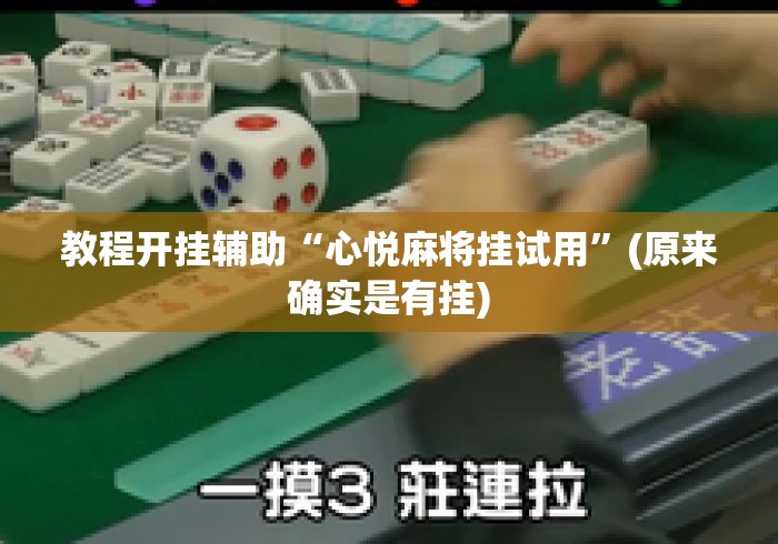 教程开挂辅助“心悦麻将挂试用”(原来确实是有挂)