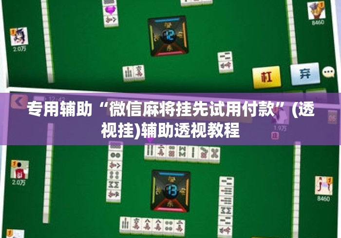 专用辅助“微信麻将挂先试用付款	”(透视挂)辅助透视教程