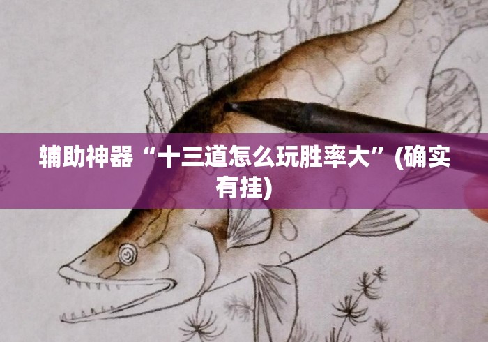 辅助神器“十三道怎么玩胜率大	”(确实有挂)