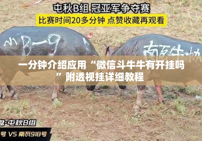 一分钟介绍应用“微信斗牛牛有开挂吗”附透视挂详细教程 