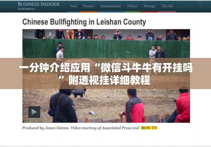 一分钟介绍应用“微信斗牛牛有开挂吗	”附透视挂详细教程 