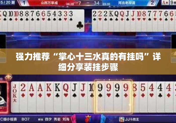强力推荐“掌心十三水真的有挂吗	”详细分享装挂步骤