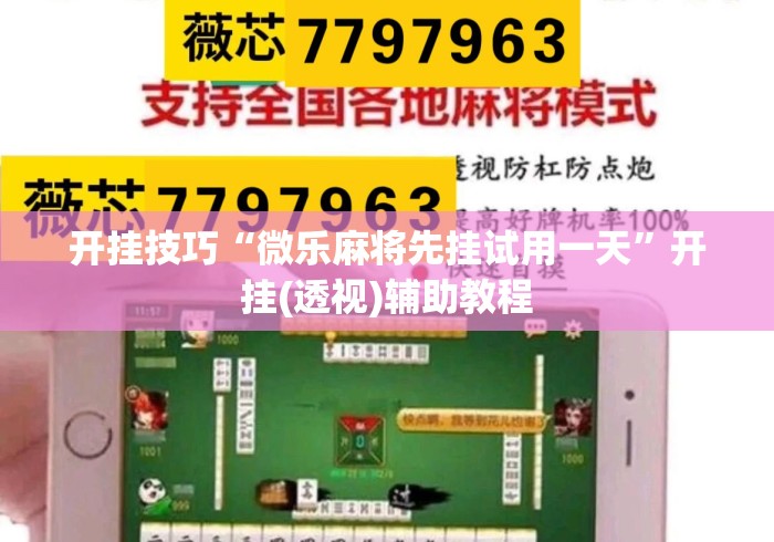 开挂技巧“微乐麻将先挂试用一天	”开挂(透视)辅助教程