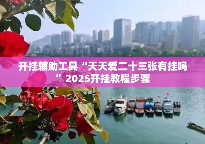 开挂辅助工具“天天爱二十三张有挂吗”2025开挂教程步骤