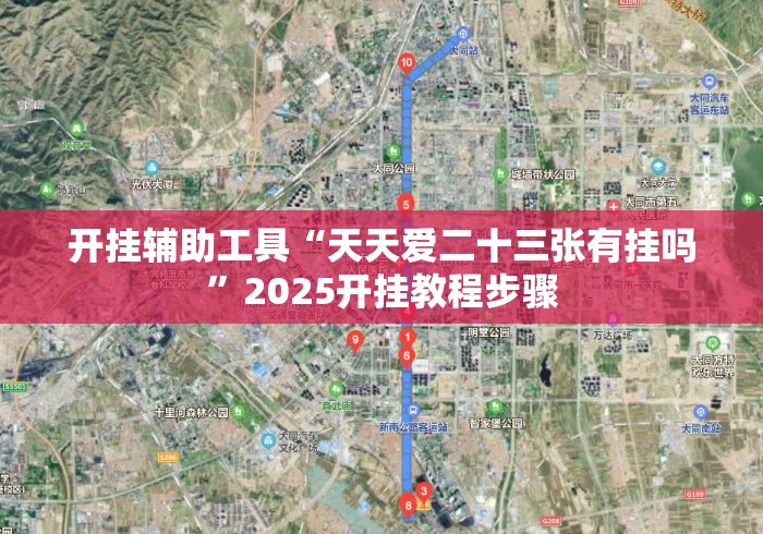 开挂辅助工具“天天爱二十三张有挂吗”2025开挂教程步骤