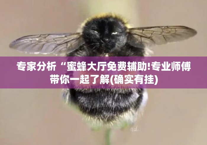 专家分析“蜜蜂大厅免费辅助!专业师傅带你一起了解(确实有挂)
