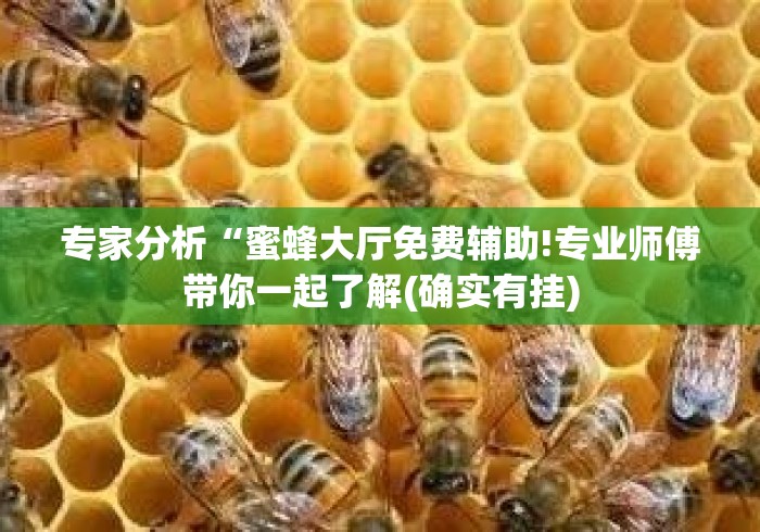 专家分析“蜜蜂大厅免费辅助!专业师傅带你一起了解(确实有挂)