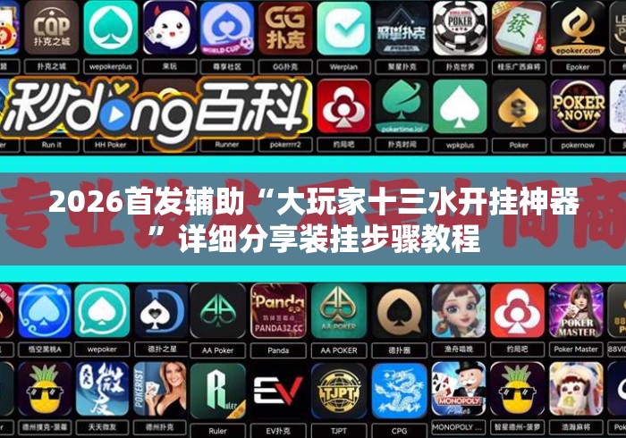 2026首发辅助“大玩家十三水开挂神器”详细分享装挂步骤教程