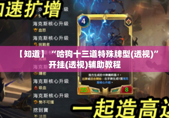 【知道】“哈狗十三道特殊牌型(透视)”开挂(透视)辅助教程