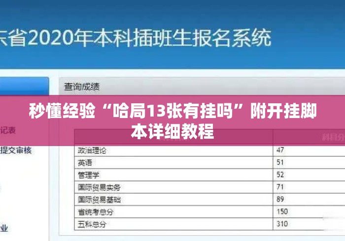 秒懂经验“哈局13张有挂吗	”附开挂脚本详细教程