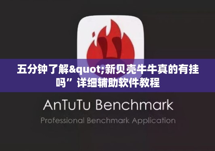 五分钟了解"新贝壳牛牛真的有挂吗	”详细辅助软件教程