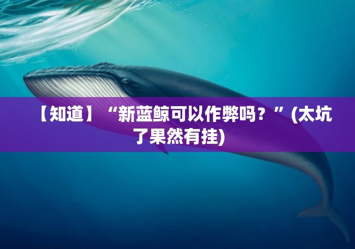 【知道】“新蓝鲸可以作弊吗？	”(太坑了果然有挂)