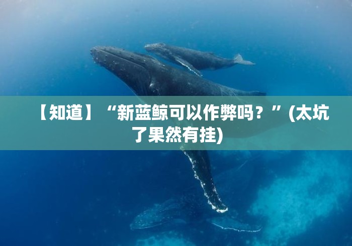 【知道】“新蓝鲸可以作弊吗？”(太坑了果然有挂)
