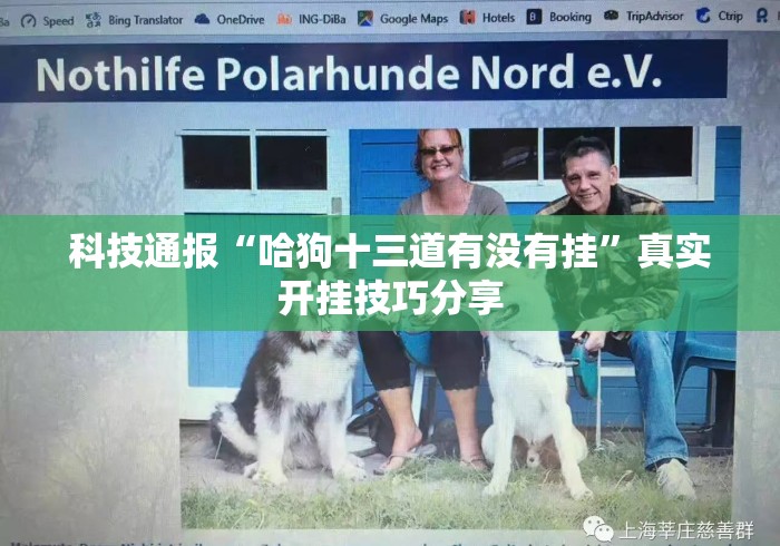 科技通报“哈狗十三道有没有挂”真实开挂技巧分享
