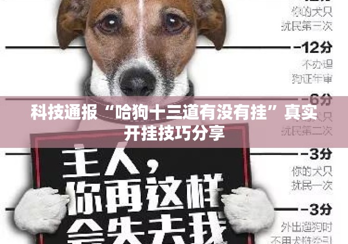 科技通报“哈狗十三道有没有挂”真实开挂技巧分享