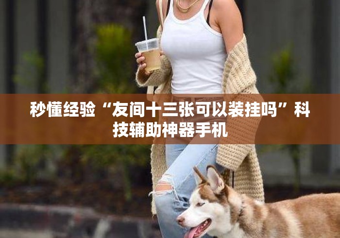 秒懂经验“友间十三张可以装挂吗”科技辅助神器手机