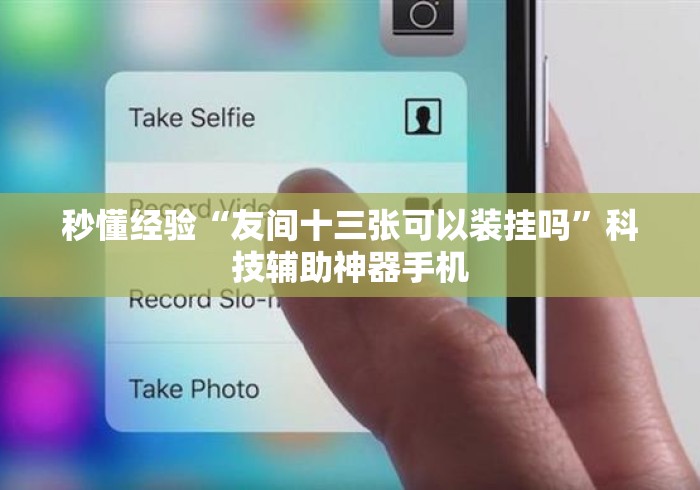 秒懂经验“友间十三张可以装挂吗	”科技辅助神器手机