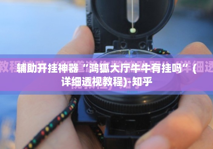 辅助开挂神器“鸿狐大厅牛牛有挂吗”(详细透视教程)-知乎
