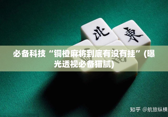 必备科技“铜橙麻将到底有没有挂	”(曝光透视必备猫腻)