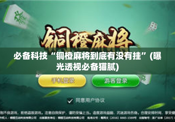 必备科技“铜橙麻将到底有没有挂”(曝光透视必备猫腻)